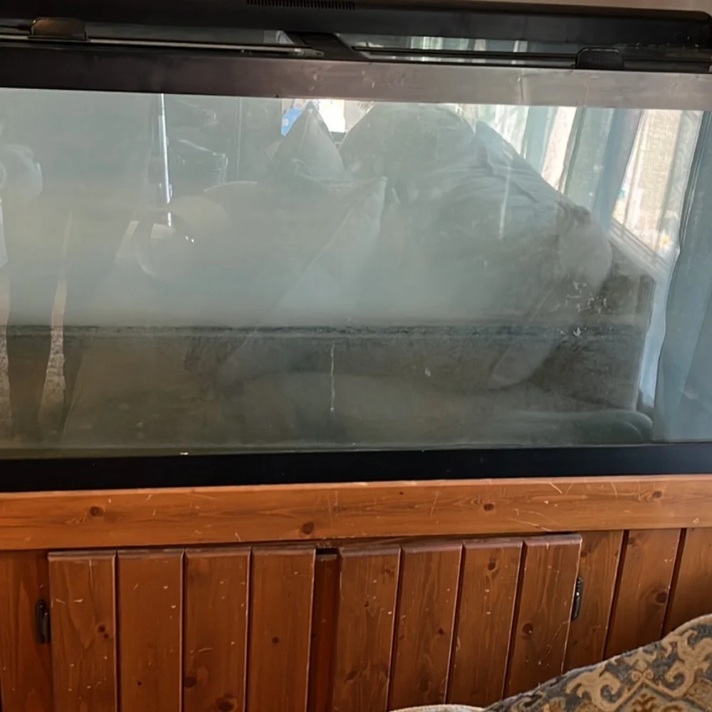 Fish tank